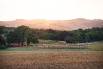 Fototapeta premium Toscana Farm & Sunset