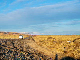 Road with surrounding nature view