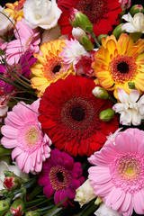Closeup of colorful mixed bouquet with gerbera, rose and carnation