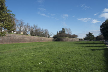 Fototapeta na wymiar Medieval fortress walls in Lucca, Italy