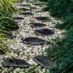 Gravel pathway in the garden