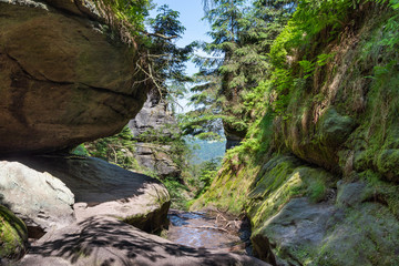 Landschaft Elbsandsteingebirge Sächsische Schweiz