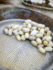 Museum of silk production. Hand process of silk yield.