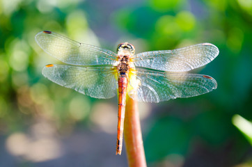 wonderful world around us	