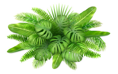 Obraz premium A bunch of tropical leaves. Foliage of exotic plants. Vector realistic illustration for decorating a greeting card, invitation or flyer.