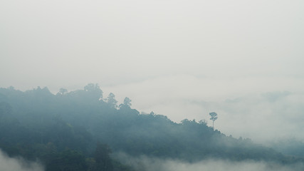 Mountain among fog in the morning