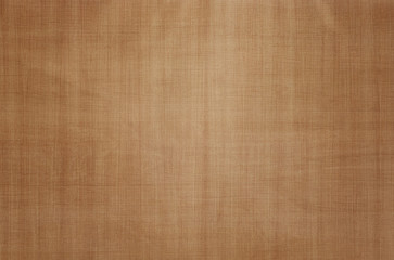 Fototapeta na wymiar Brown grunge wooden texture to use as background. Wood texture with natural pattern