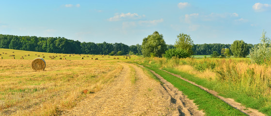 Fototapeta premium A country road across the field.