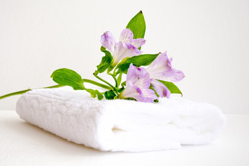 Obraz na płótnie Canvas Beautiful bouquet of pink alstroemeria flower on white towel