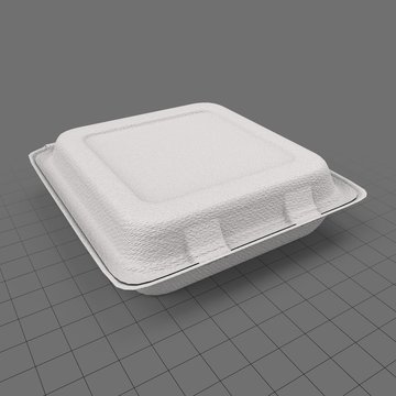 Large takeaway box
