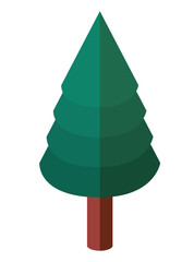 Fototapeta premium pine tree plant isometric icon vector illustration design