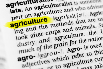 Highlighted English word 