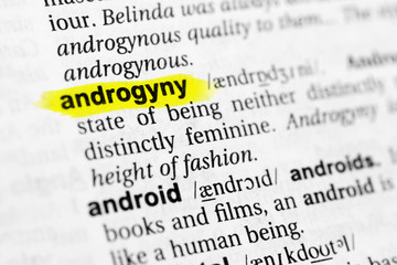Highlighted English word "androgyny" and its definition in the dictionary