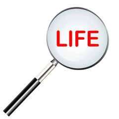 Word of life highlighted with red color in magnifier icon or searching icon - 207436849