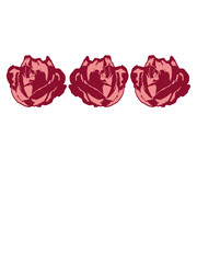 3 muster blüte rose blume blüten frühling hübsch schön blätter pflanze natur design cool clipart