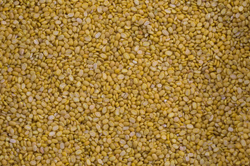 soybean is a useful plant and can be cooked in several ways.