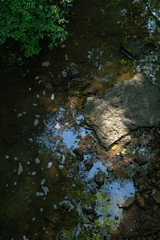 Bird's Eye on Shallow Creek Bed