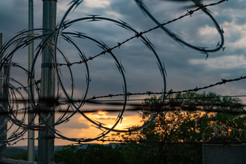 Silhouetted Barbed Wire Fence with Sunset Tree
