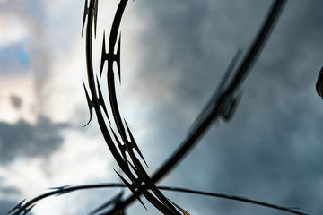 Barbed Wire Fence at Sunset Close Up Front Barbs Blurred
