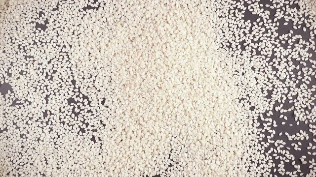 Slow motion white sesame seeds falls on a gray background from under the camera