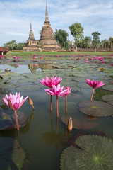 un &eacute;tang de lotus avec une tr&egrave;s ancienne stupa bouddhiste en arri&egrave;re plan 