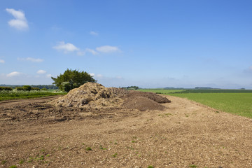 farmland compost heap