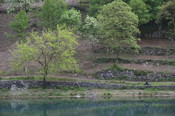 Meditation in der Natur