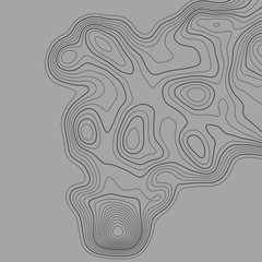 Topographic map. Topographical background. Linear graphics. Vector illustration.