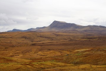 Fototapeta na wymiar Plaine et montagne,desert, lande, ton marron, Ile de Skye