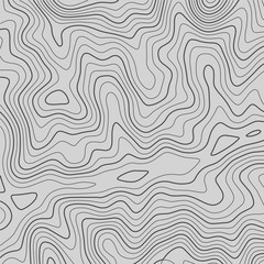 Topographic map. Topographical background. Linear graphics. Vector illustration.