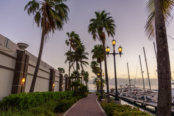 Pedestrian driveway surrounded by palm trees at sunset.