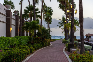 Fototapeta na wymiar Pedestrian driveway surrounded by palm trees at sunset.