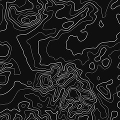 Topographic map. Topographical background. Linear graphics. Vector illustration.