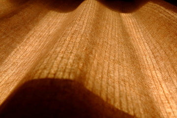 linen shower curtain