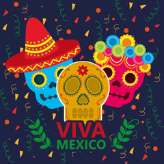 viva mexico celebration many colorful skulls serpentines flowers happy vector illustration
