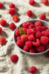 Raw Red Organic Raspberries