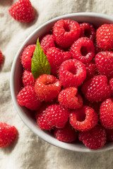 Raw Red Organic Raspberries