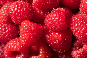 Raw Red Organic Raspberries