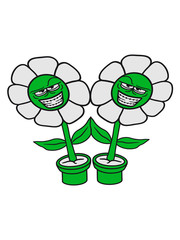 2 freunde team paar gesicht böse blumentopf comic cartoon lustig süß niedlich blume blüten frühling hübsch schön blätter pflanze natur design cool clipart