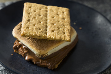 Homemade Chocolate Smores with Marshmallows