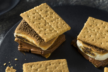 Homemade Chocolate Smores with Marshmallows