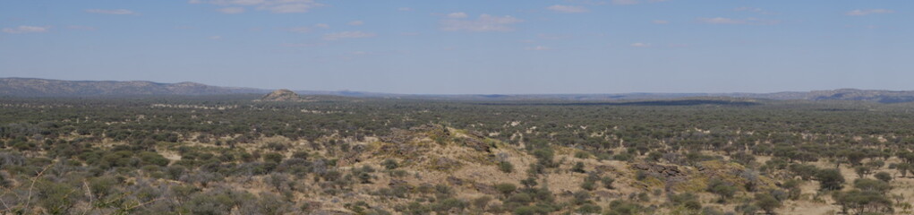Fototapeta na wymiar kalahari panorama