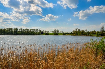 Beautiful spring landscape. Sunny day at the pond in the countryside.