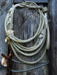 Coiled rope hanging from a pier