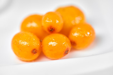 Sea buckthorn isolated on the white./Sea buckthorn on a porcelain plate. White background. Fruits of sea buckthorn.