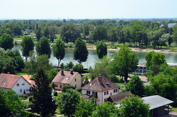 Fototapeta na wymiar Der Rhein in Breisach