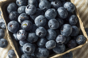 Raw Blue Organic Blueberries