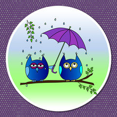 Vector bright cheerful illustration.Love a couple of cute owls under an umbrella in the rain.