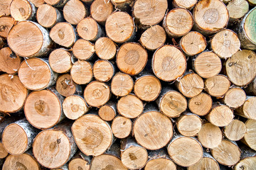 Birch firewood. Background