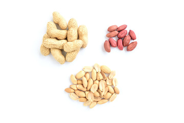Peanut isolated on white background.